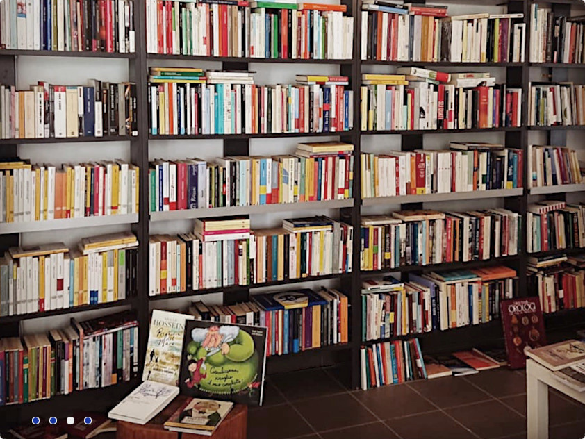 Interno del negozio ed esposizione dei libri in vendita.